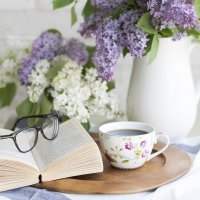 Bibliothèque tournante - Mardi 8 avril de 10h00 à 12h00 Bibliothèque tournante